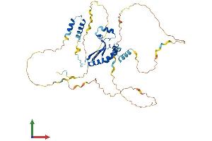 Protein Structure (PS) image for KH Domain Containing, RNA Binding, Signal Transduction Associated 1 (KHDRBS1) (AA 1-443) protein (His tag) (ABIN7554273)