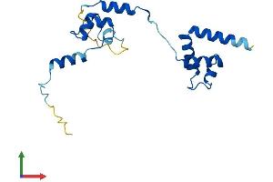 Protein Structure (PS) image for Nucleolar Protein 16 (NOP16) (AA 1-178) protein (His tag) (ABIN7560479)
