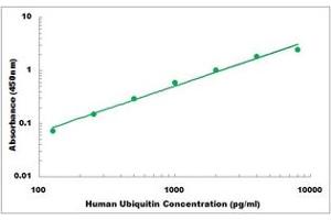 Representative Standard Curve (Ubiquitin ELISA 试剂盒)