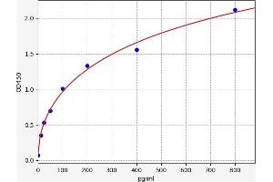 Growth Differentiation Factor 2 (GDF2) ELISA Kit