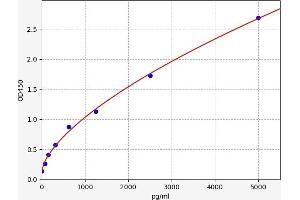 Heparanase (HPSE) ELISA Kit