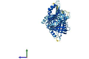 Protein Structure (PS) image for NADPH Oxidase 1 (NOX1) (AA 1-564) protein (His tag) (ABIN7554747)