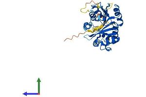 Protein Structure (PS) image for BCDIN3 Domain Containing (BCDIN3D) (AA 1-285) protein (His tag) (ABIN7560111)
