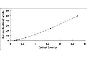 Typical standard curve (Carboxypeptidase A2 ELISA 试剂盒)