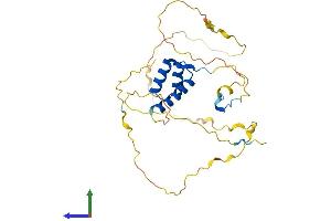 AlphaFold protein structure predicition of Mouse Recombinant Hoxa4 Protein, UniprotID P06798 (HOXA4 Protein (AA 1-285) (His tag))