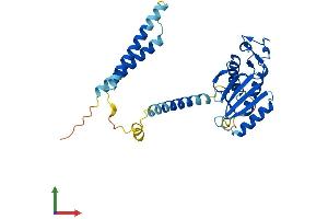 Protein Structure (PS) image for Mediator Complex Subunit 27 (MED27) (AA 1-311) protein (His tag) (ABIN7549301)