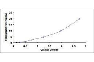 ELISA image for serine Peptidase Inhibitor, Kazal Type 5 (SPINK5) ELISA Kit (ABIN422756)