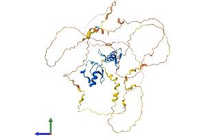 AlphaFold protein structure predicition of Human Recombinant GATA2 Protein, UniprotID P23769 (GATA2 Protein (AA 1-480) (His tag))