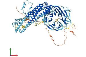 Protein Structure (PS) image for Anaphase Promoting Complex Subunit 4 (ANAPC4) (AA 1-808) protein (His tag) (ABIN7552169)