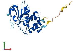 Protein Structure (PS) image for Dual Specificity Phosphatase 13 (DUSP13) (AA 1-188) protein (His tag) (ABIN7557904)
