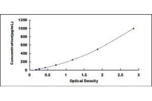 Parkinson Protein 7 (PARK7) ELISA Kit