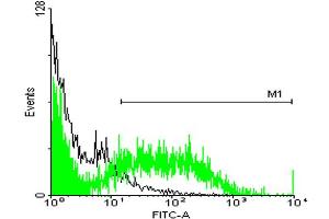 FACS analysis of TOV-21G cells stained with STIP1 monoclonal antibody clone 2E1 (Green) and non-stained TOV-21G cells (Black) as negative control. (STIP1 抗体  (AA 1-543))