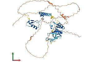 Protein Structure (PS) image for Zinc Finger, HIT-Type Containing 6 (ZNHIT6) (AA 1-470) protein (His tag) (ABIN7552730)