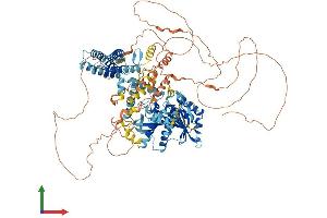 Protein Structure (PS) image for Diacylglycerol Lipase, alpha (DAGLA) (AA 1-1042) protein (His tag) (ABIN7553718)
