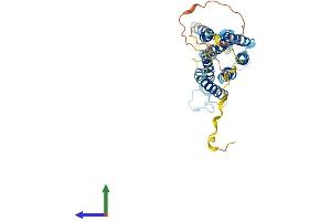 Protein Structure (PS) image for G Protein-Coupled Receptor, Family C, Group 5, Member A (GPRC5A) (AA 1-357) protein (His tag) (ABIN7551265)
