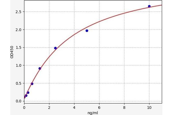 GRB10 ELISA 试剂盒