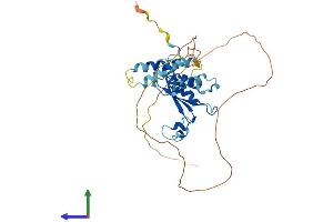 Protein Structure (PS) image for Protein Quaking (QKI) (AA 1-341) protein (His tag) (ABIN7551168)