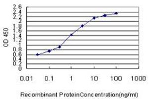 Detection limit for recombinant GST tagged SLIT3 is approximately 0. (SLIT3 抗体  (AA 1371-1470))