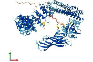 Protein Structure (PS) image for Coatomer Protein Complex, Subunit gamma 2 (COPG2) (AA 1-871) protein (His tag) (ABIN7565149)