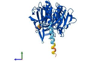 Protein Structure (PS) image for Kelch Domain Containing 1 (KLHDC1) (AA 1-406) protein (His tag) (ABIN7548899)