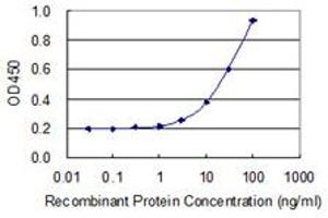 Detection limit for recombinant GST tagged C5AR1 is 1 ng/ml as a capture antibody. (C5AR1 抗体  (AA 1-350))