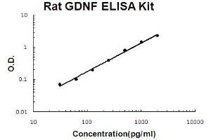 Rat GDNF Accusignal ELISA Kit Rat GDNF AccuSignal ELISA Kit standard curve. (GDNF ELISA 试剂盒)
