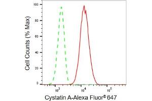 anti-Cystatin A (Stefin A) (CSTA) antibody