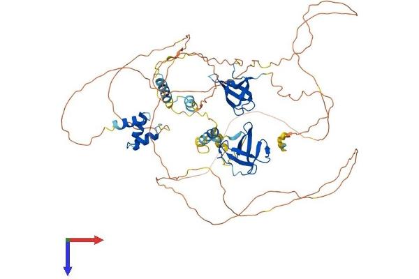 TDRD3 Protein (AA 1-651) (His tag)