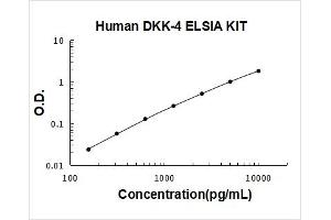 Dickkopf Homolog 4 (Xenopus Laevis) (DKK4) ELISA Kit