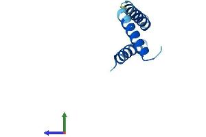 AlphaFold protein structure predicition of Human Recombinant DPM3 Protein, UniprotID Q9P2X0