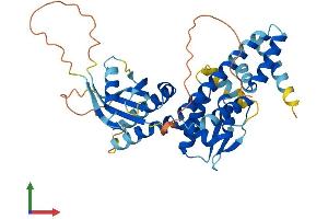 Protein Structure (PS) image for Chromosome 17 Open Reading Frame 75 (C17orf75) (AA 1-396) protein (His tag) (ABIN7549792)