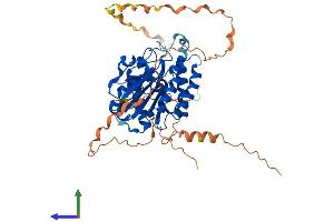 Protein Structure (PS) image for Family with Sequence Similarity 113, Member A (FAM113A) (AA 1-454) protein (His tag) (ABIN7550705)