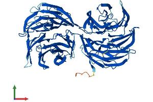 Protein Structure (PS) image for WD Repeat Domain 16 (WDR16) (AA 1-620) protein (His tag) (ABIN7557441)