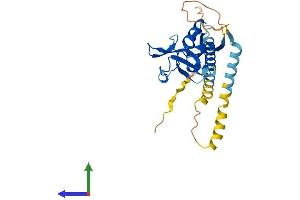 Protein Structure (PS) image for Killer Cell Lectin-Like Receptor, Subfamily A, Member 7 (Klra7) (AA 1-280) protein (His tag) (ABIN7557589)