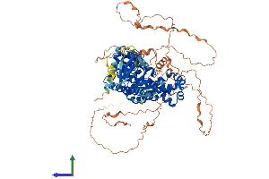 Protein Structure (PS) image for rho Guanine Nucleotide Exchange Factor (GEF) 19 (ARHGEF19) (AA 1-802) protein (His tag) (ABIN7552319)