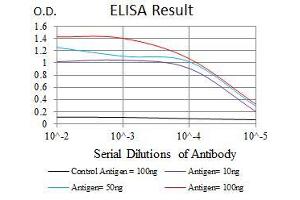 Black line: Control Antigen (100 ng), Purple line: Antigen(10 ng), Blue line: Antigen (50 ng), Red line: Antigen (100 ng), (FGF4 抗体  (AA 62-123))