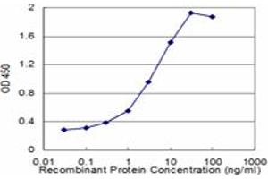 Detection limit for recombinant GST tagged HDAC4 is approximately 0. (HDAC4 抗体  (AA 551-648))