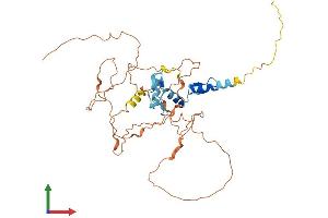 AlphaFold protein structure predicition of Human Recombinant EGR3 Protein, UniprotID Q06889