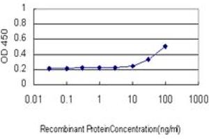 Detection limit for recombinant GST tagged TLR9 is approximately 10ng/ml as a capture antibody. (TLR9 抗体  (AA 99-215))