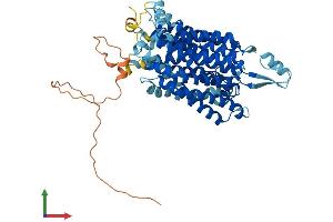Protein Structure (PS) image for Solute Carrier Family 33 Member 1 (SLC33A1) (AA 1-550) protein (His tag) (ABIN7560296)