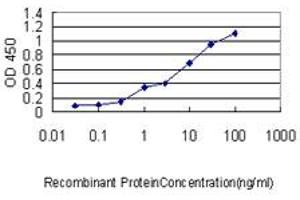 Detection limit for recombinant GST tagged GCG is approximately 0. (Glucagon 抗体  (AA 1-180))