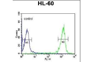 Flow Cytometry (FACS) image for anti-Protein Associated with Topoisomerase II Homolog 1 (PATL1) (AA 489-518), (C-Term) antibody (ABIN653753)