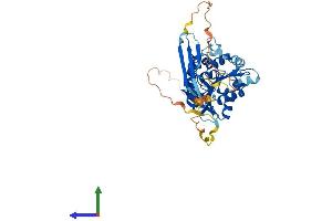 Protein Structure (PS) image for Abhydrolase Domain Containing 8 (ABHD8) (AA 1-439) protein (His tag) (ABIN7559640)