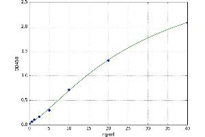 A typical standard curve (Myoferlin ELISA 试剂盒)