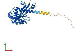 Protein Structure (PS) image for RAB34, Member RAS Oncogene Family (RAB34) (AA 1-259) protein (His tag) (ABIN7557804)