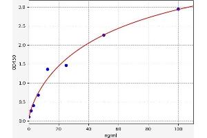 S100 Calcium Binding Protein A11 (S100A11) ELISA Kit