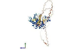 Protein Structure (PS) image for Suppressor of Variegation 4-20 Homolog 2 (SUV420H2) (AA 1-468) protein (His tag) (ABIN7558093)