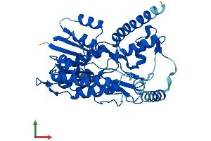 AlphaFold protein structure predicition of Human Recombinant HSD3B2 Protein, UniprotID P26439
