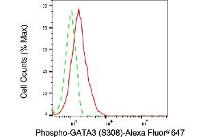 Flow cytometric analysis of Phospho-GATA3 (S308) expression in HT- cells using Phospho-GATA3 (S308) antibody (ABIN7798696), 1:2,000).