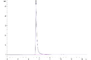 Size-exclusion chromatography-High Pressure Liquid Chromatography (SEC-HPLC) image for SARS-CoV-2 Spike S1 protein (His-Avi Tag) (ABIN7275550)